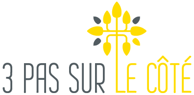 logo 3 pas sur le cote RH management Hurigny Macon Dijon